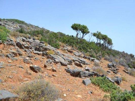 Kreta, Elounda: Großes, erstklassiges Grundstück in erster Meereslinie zu verkaufen