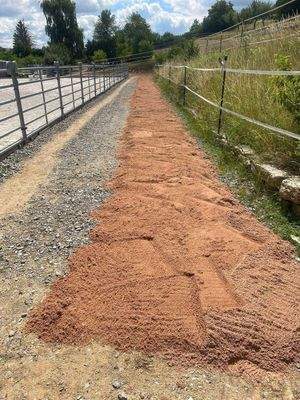 WhatsApp Image 2025-12-16 at 11.23.27.jpeg