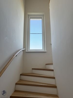Bild 20