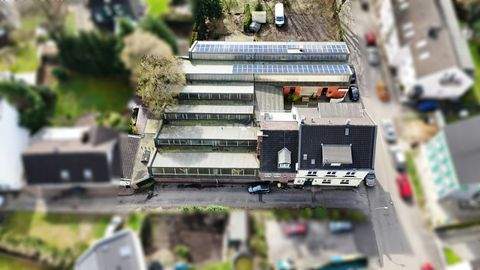 Remscheid Halle, Remscheid Hallenfläche