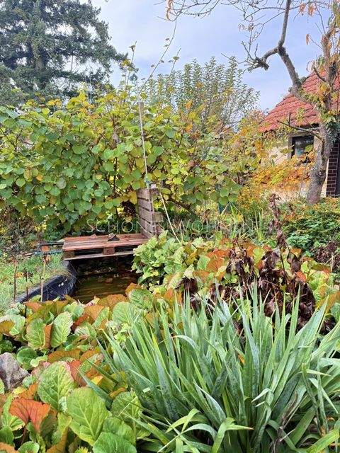 Mainz Häuser, Mainz Haus kaufen