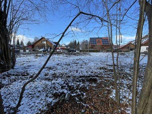 Blick vom Bach zur Straße