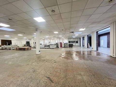 Dresden Halle, Dresden Hallenfläche