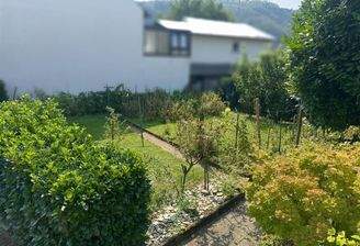 Blick in den Garten