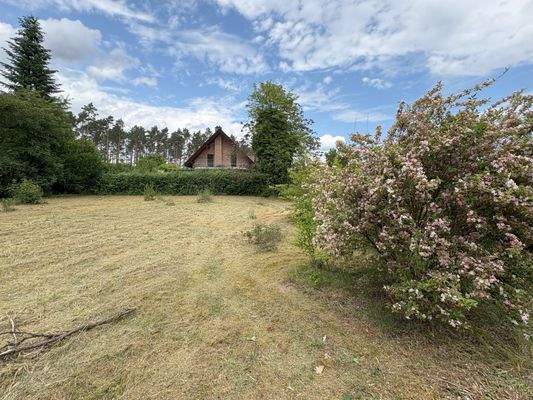 rechte Seite Grundstück.jpg