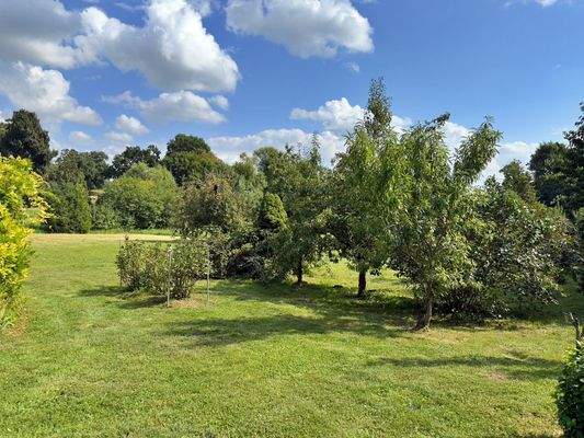 Garten hinter dem NG