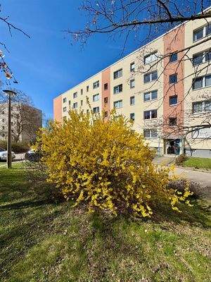 Impression Wohnalnage