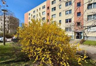 Impression Wohnalnage