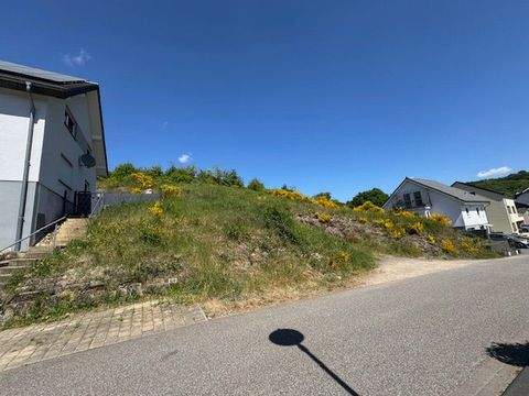 Franzenheim Grundstücke, Franzenheim Grundstück kaufen