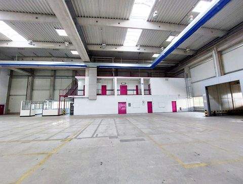 Öhringen Halle, Öhringen Hallenfläche