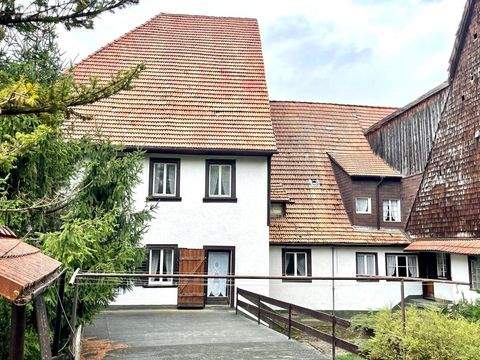 Löffingen Häuser, Löffingen Haus kaufen