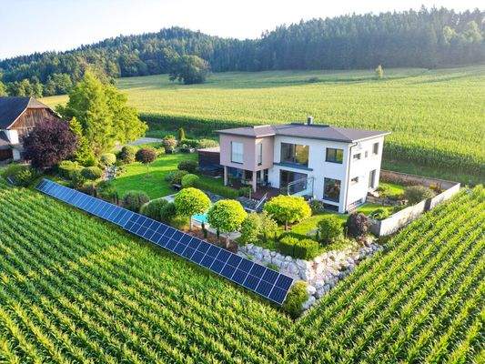 Luftbild Haus und Garten