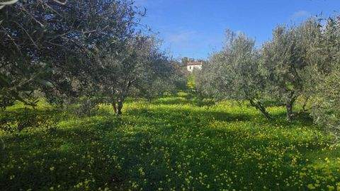 Sivas Grundstücke, Sivas Grundstück kaufen