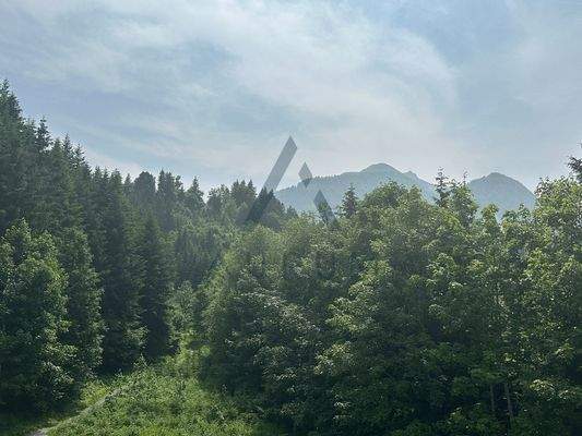 Bild 16
