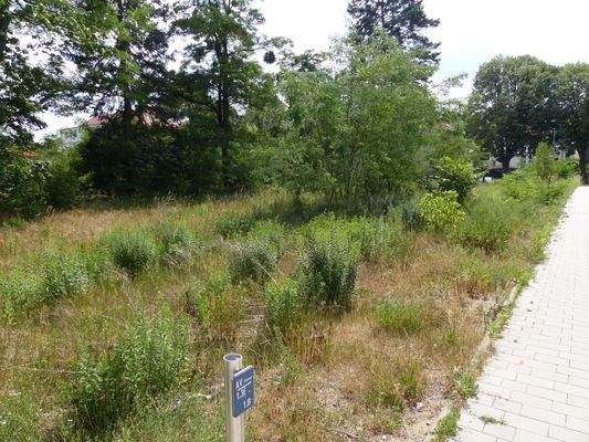 Heinrich-Zille-Straße