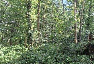 Blick vom Wirtschaftsweg