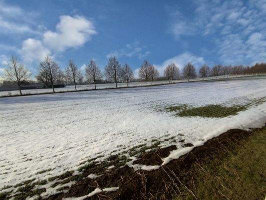 hinter dem Grundstück liegendes Feld
