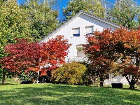 Grenzach-Wyhlen Häuser, Grenzach-Wyhlen Haus kaufen