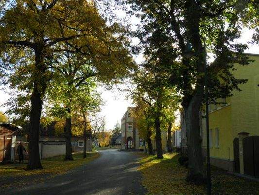 Einsicht in anliegende Alte Dorfstrasse