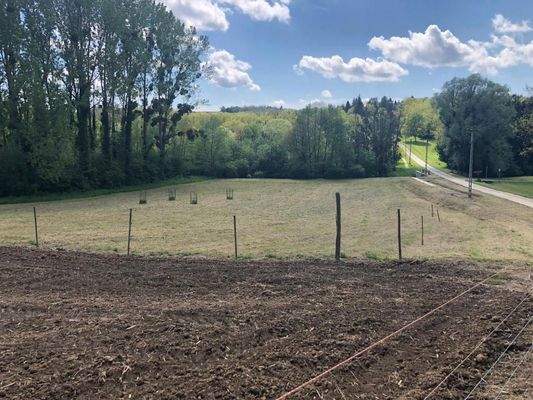 Das Grundstück von Nordosten