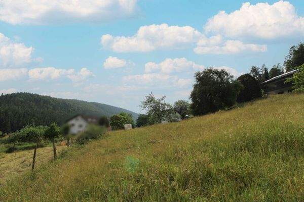 Grundstück von unten Bild 3