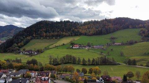 Waldkirch Renditeobjekte, Mehrfamilienhäuser, Geschäftshäuser, Kapitalanlage