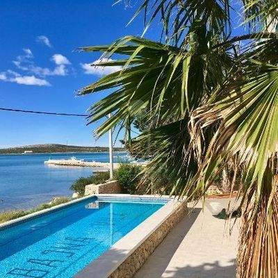 Mediterrane Pflanzen, wie Palmen, etc.