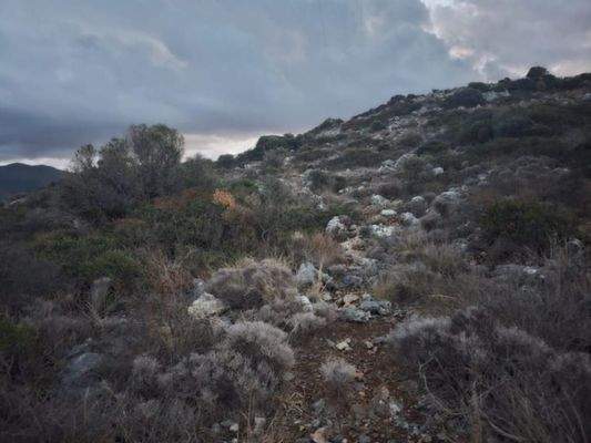 Kreta, Sisi: Gruppe benachbarter Grundstücke mit Meerblick zu verkaufen