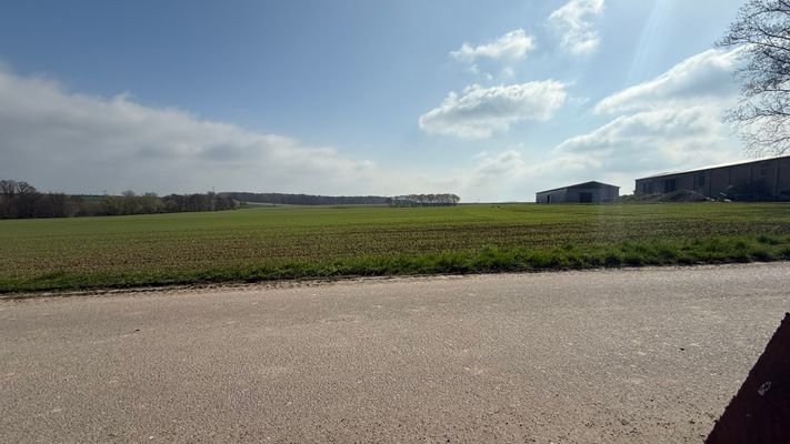 Außenansicht und Grundstück