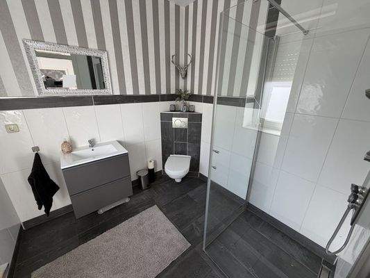 Gäste-WC mit Dusche