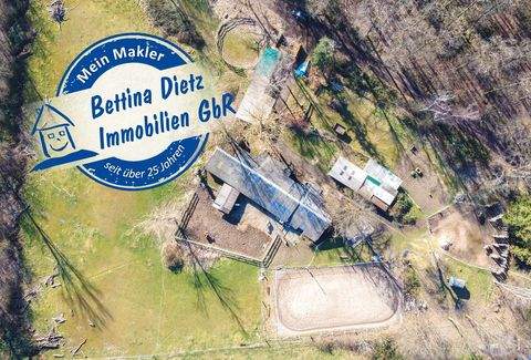 Seligenstadt Bauernhöfe, Landwirtschaft, Seligenstadt Forstwirtschaft