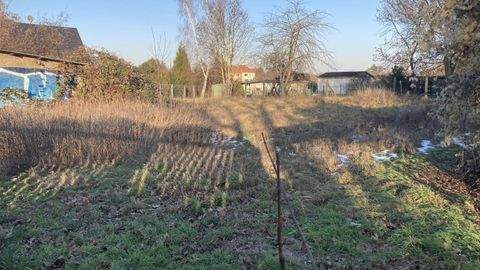 Magdeburg Grundstücke, Magdeburg Grundstück kaufen