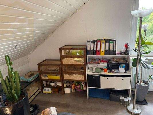 Wohnung DG Arbeitszimmer 