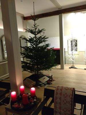 Festtage am Meer - Genießen Sie Weihnachten auf iDammbüll