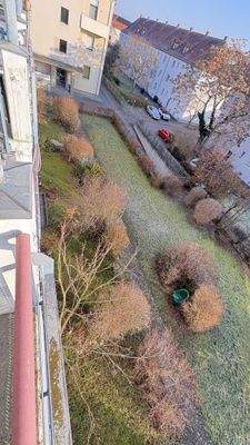 Allgemeiner Garten + Tiefgaragenzufahrt