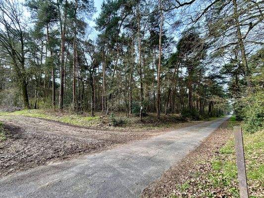 Fläche im Nord-Osten