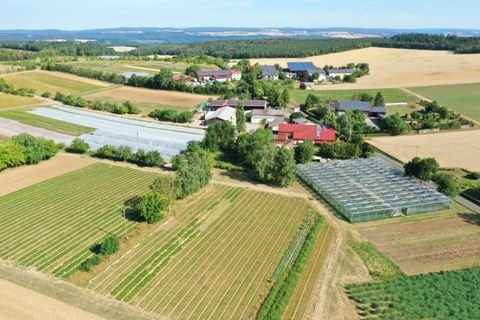 Wertheim Bauernhöfe, Landwirtschaft, Wertheim Forstwirtschaft