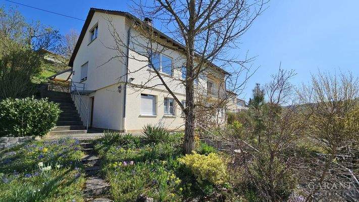 Garten-Suedseite-20250404 113513