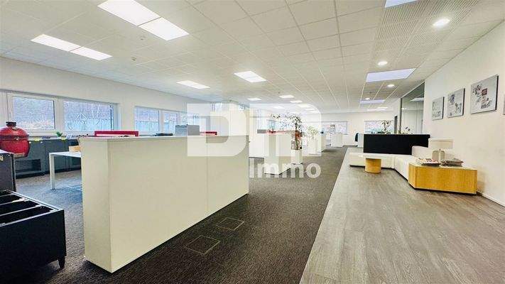 Hauptbüro / Gemeinschaftsbüro