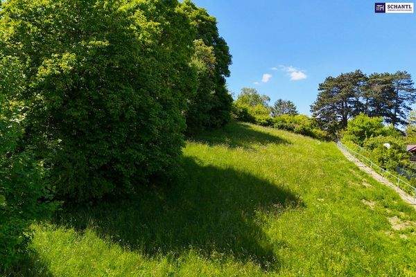 Grundstück, westliche Seite