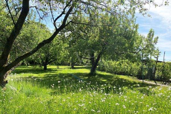 Blick auf Obstwiese und Nutzgarten