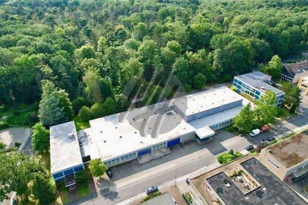 INFOS UNTER: 06171-586000