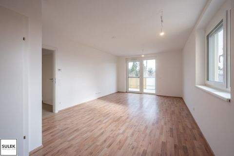 Eisenstadt Wohnungen, Eisenstadt Wohnung mieten