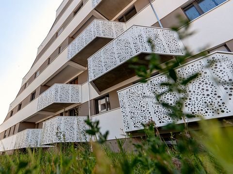 Halle (Saale) Wohnungen, Halle (Saale) Wohnung mieten