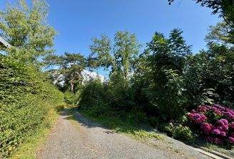 Grundstück mit Zufahrtsstraße