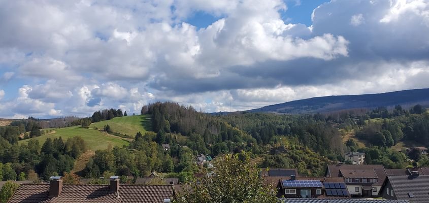 Ausblick vom Balkon