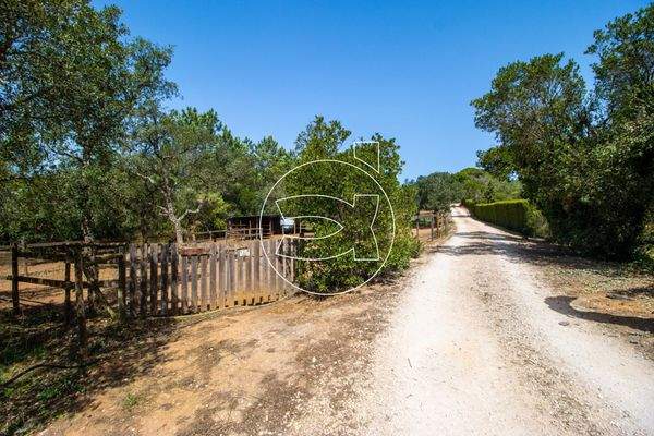 Großzügiges Anwesen