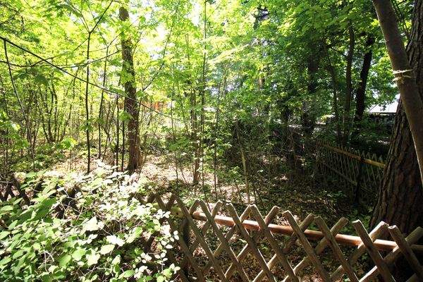 Grd_mit Bewuchs aus 2025