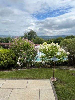 Garten mit blühenden Pflanzen 