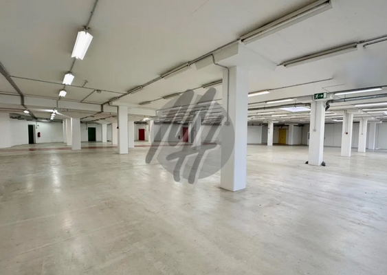 INFOS UNTER: 06171-586000